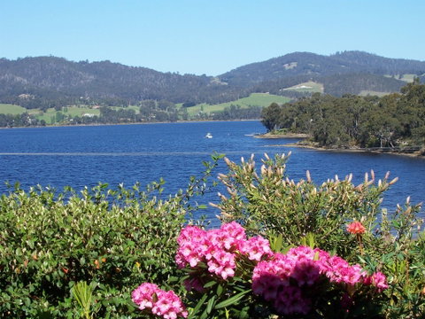 Donalea Bed & Breakfast Tasmania - Accommodation Whitsundays 0