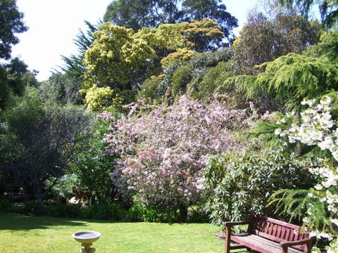 Donalea Bed & Breakfast Tasmania - Accommodation Whitsundays 3
