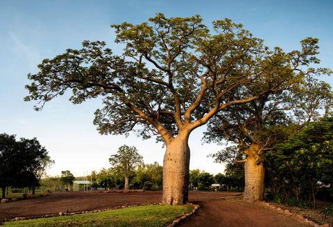 Home Valley Station - Accommodation Whitsundays 5