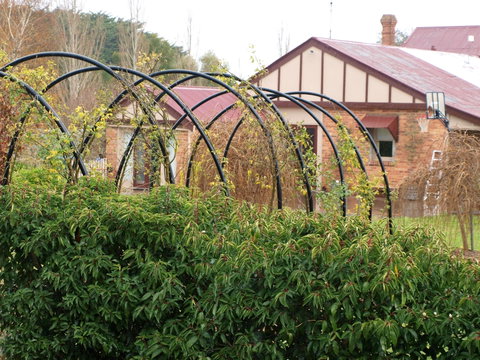 Pierrepoint Wines Bed & Breakfast - Accommodation Whitsundays 1