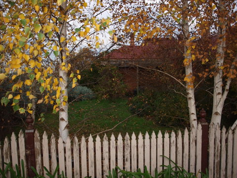 Pierrepoint Wines Bed & Breakfast - Accommodation Whitsundays 6