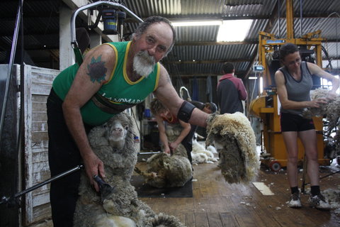 Rabbiters Hut - Accommodation Whitsundays 5