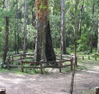 Six Mile Creek campground - Accommodation Whitsundays