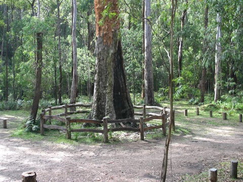 Six Mile Creek Campground - Accommodation Whitsundays 0
