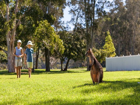The Basin Campground - Accommodation Whitsundays 4