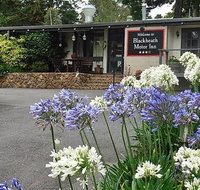 Blackheath Motor Inn - Accommodation Whitsundays