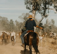 Bullo River Station - Accommodation Whitsundays