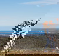 Cowell RV Park - Accommodation Whitsundays