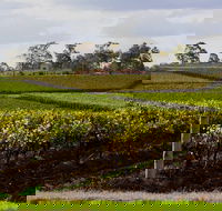 Estate Tuscany - Accommodation Whitsundays