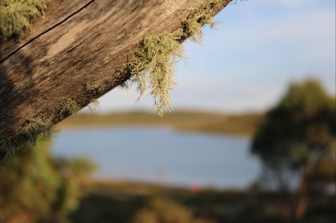 Howmans Gap Alpine Centre YMCA - Accommodation Whitsundays 2