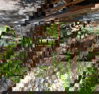 Melaleuca Surfside Backpackers - Accommodation Whitsundays