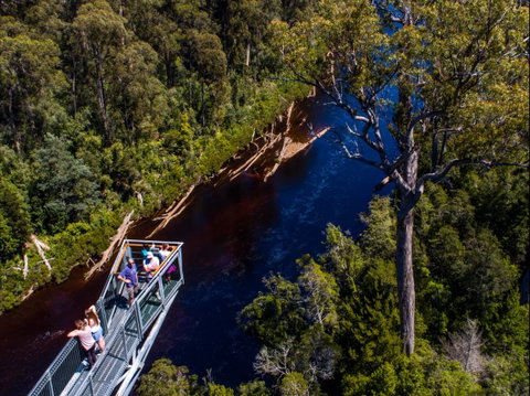 Tahune Adventures Tasmania - Lodge And Cabin - Accommodation Whitsundays 1