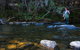 Tyenna River Cottage - thumb 2