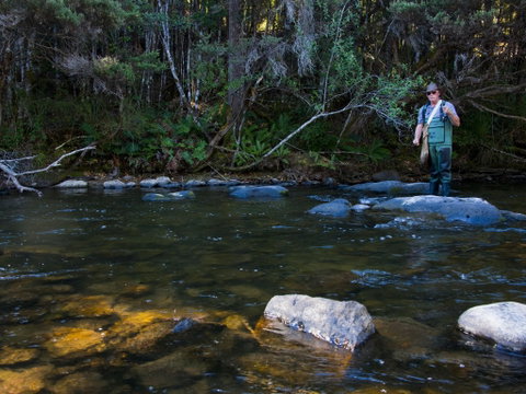 Tyenna River Cottage - Accommodation Whitsundays 2