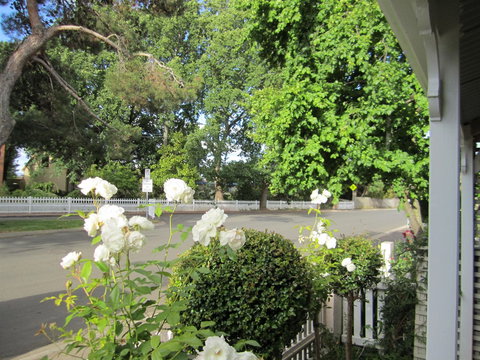 Arendon Cottage - Accommodation Whitsundays 1