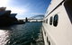True North Adventure Cruises - thumb 0