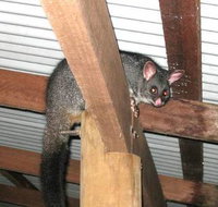 Warren River Resort - Accommodation Whitsundays