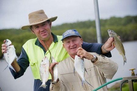 Terrace Reserve Holiday Park - Accommodation Whitsundays 1