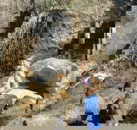 Misty Valley Country Cottages - Accommodation Whitsundays