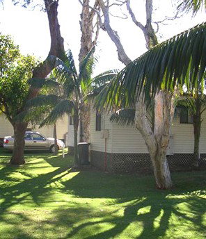 Arrawarra Beach Holiday Park - Accommodation Whitsundays 1