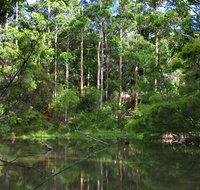 Peppermint Grove Retreat - Accommodation Whitsundays