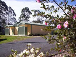 Bega Caravan Park - Accommodation Whitsundays 5