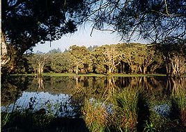 Bush Haven - Accommodation Whitsundays 3