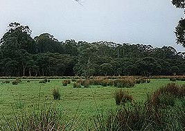 Bush Haven - Accommodation Whitsundays 4