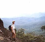 Mimosa Hill Wildflower Farm Cottages - Accommodation Whitsundays