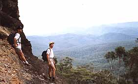 Mimosa Hill Wildflower Farm Cottages - Accommodation Whitsundays 0
