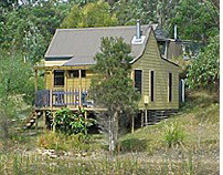 Mimosa Hill Wildflower Farm Cottages - Accommodation Whitsundays 2