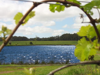Bettenays Lakeside Loft Apartment And Vineyard Chalets - Accommodation Whitsundays 0