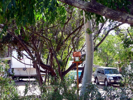 Kojonup Caravan Park - Accommodation Whitsundays 1