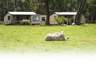 Cambray Cottages - Accommodation Whitsundays 1