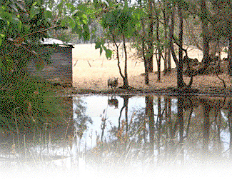 Cambray Cottages - Accommodation Whitsundays 3