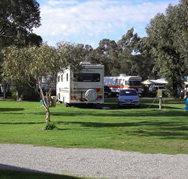 Pinjarra Caravan Park - Accommodation Whitsundays