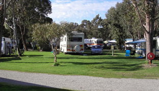 Pinjarra Caravan Park - Accommodation Whitsundays 0