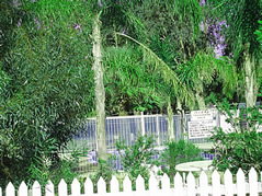 Pinjarra Caravan Park - Accommodation Whitsundays 3