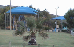 Horrocks Beach Caravan Park - Accommodation Whitsundays 5