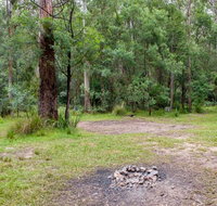Blue Gum Flat campground - Accommodation Whitsundays