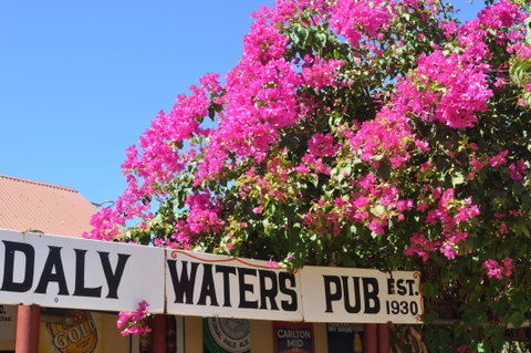 Daly Waters Historic Pub - Accommodation Whitsundays 0