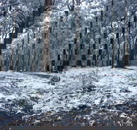 High Peaks Cottages - Accommodation Whitsundays