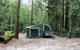 K'gari (Fraser Island) Camping, Great Sandy National Park - thumb 2