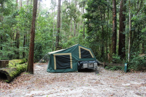 K'gari (Fraser Island) Camping, Great Sandy National Park - Accommodation Whitsundays 2