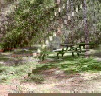 Mulloon Creek campground - Accommodation Whitsundays