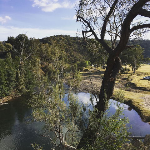 Paradise Valley Camping Park - Accommodation Whitsundays 2