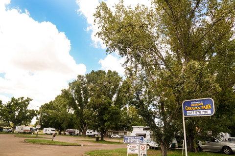 Quirindi Caravan Park - Accommodation Whitsundays 0