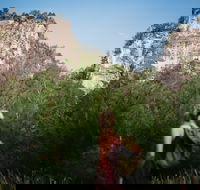 Sandstone Park Carnarvon Gorge - Accommodation Whitsundays