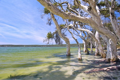 Shoal Cape Camp At Stokes National Park - Accommodation Whitsundays 0