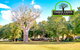 Timber Creek Hotel And Caravan Park - thumb 0